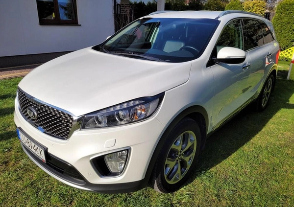 Kia Sorento cena 84900 przebieg: 171577, rok produkcji 2015 z Łuków małe 232